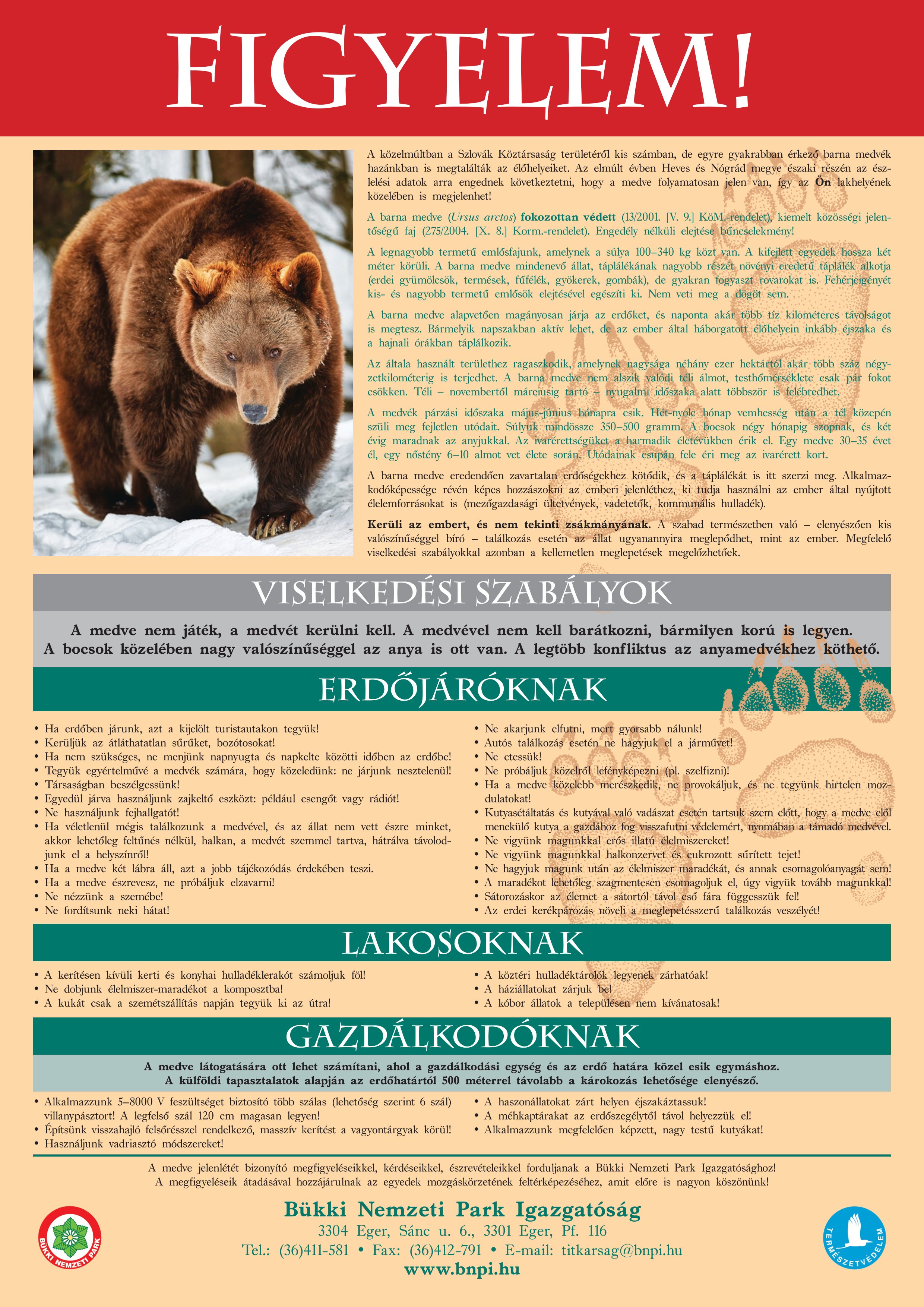medve_plakat_bnpi-1