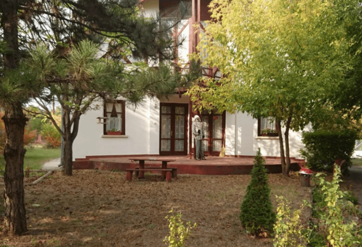 ligetovi2