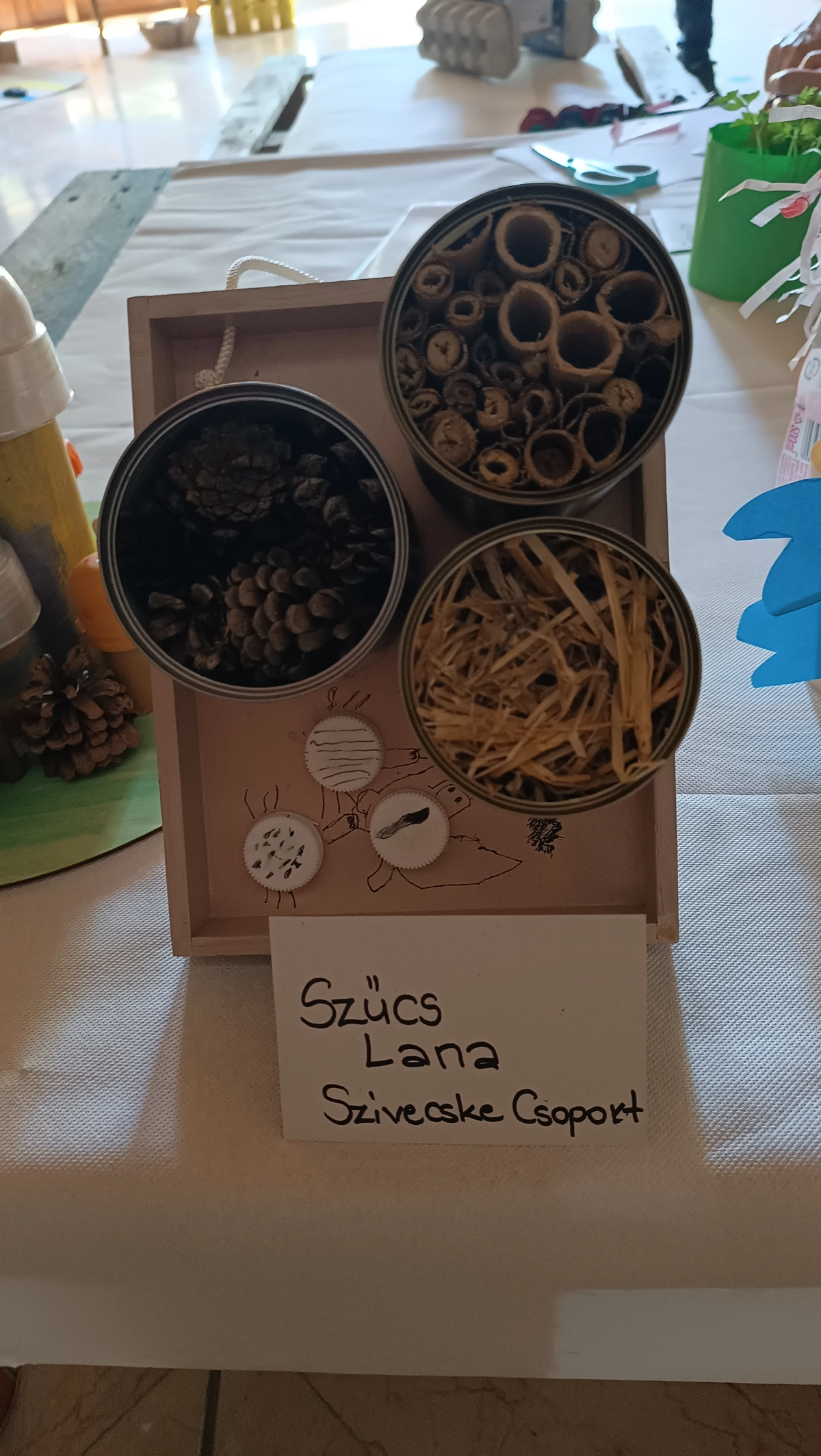 Szücs Lana Széchenyi Óvoda Szívecske csoport