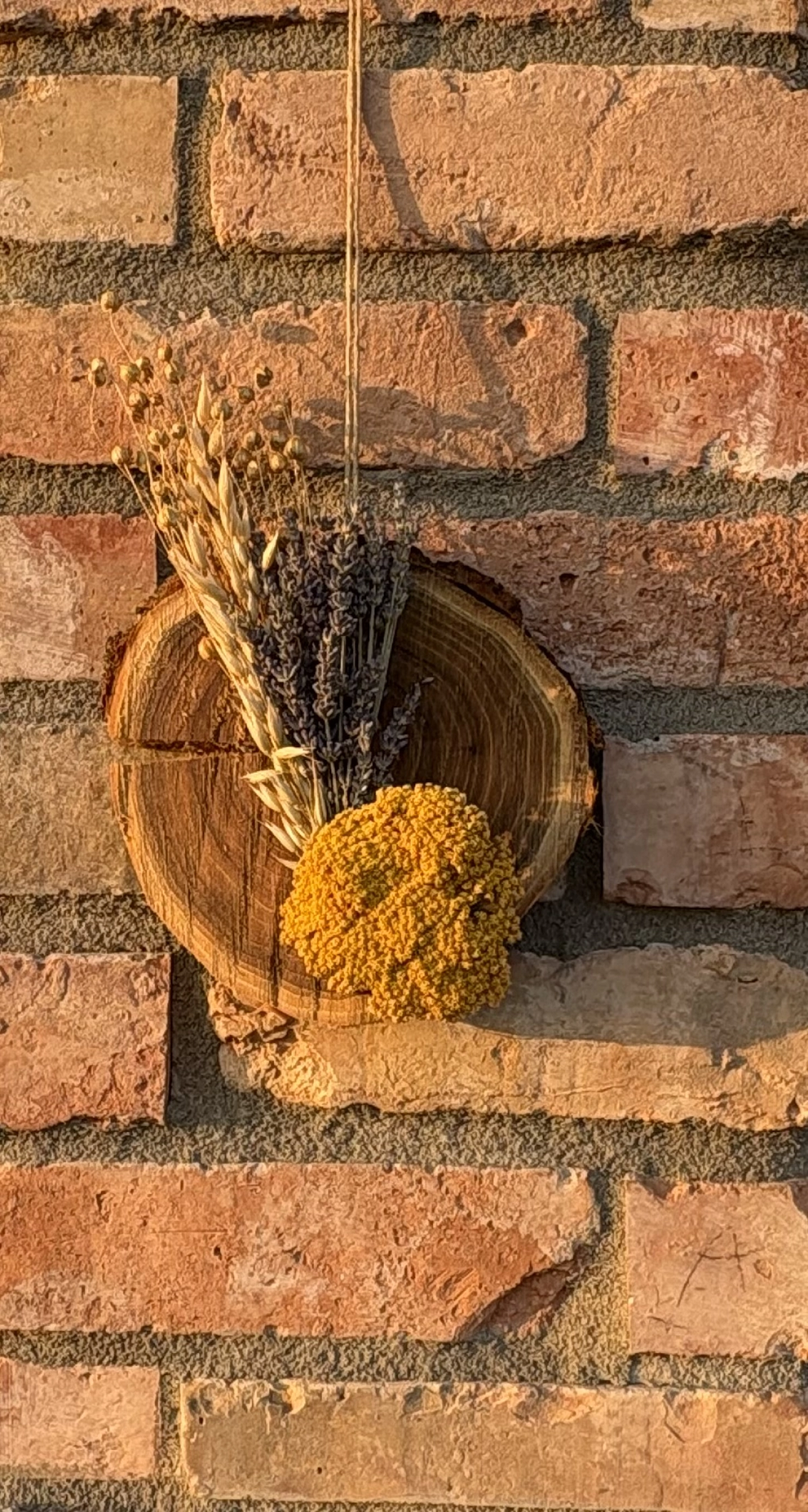 Simon Zsófia Ligetek Óvoda Süni Csoport Szárított vírág ajtódísz